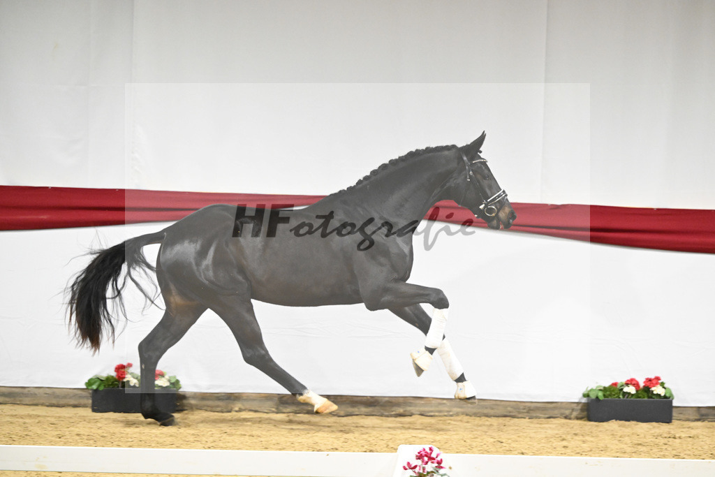 Kat-Nr. 51 v. Escamillo_Casper_63221330 | hf-fotografie - Realizzato con Pictrs.com