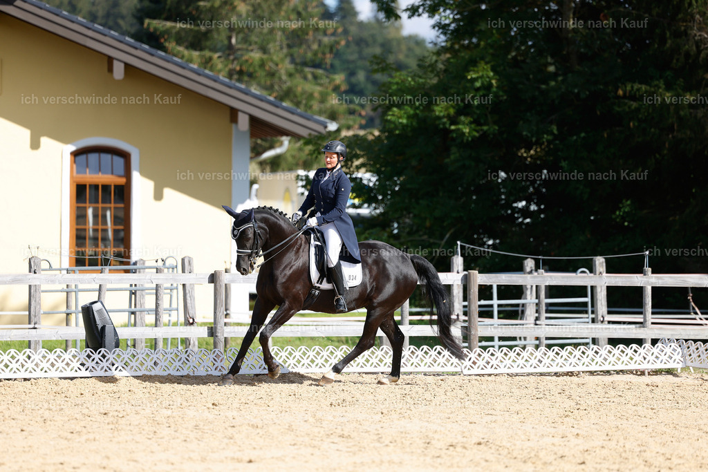 09_2-034-DRESSUR  S_  -StoibPH-5818 | working equitationturnier fotograf videograf stoibphotography marixx film working equitation deutschland reitsport turnierfotografie eventfotografie equestrian events