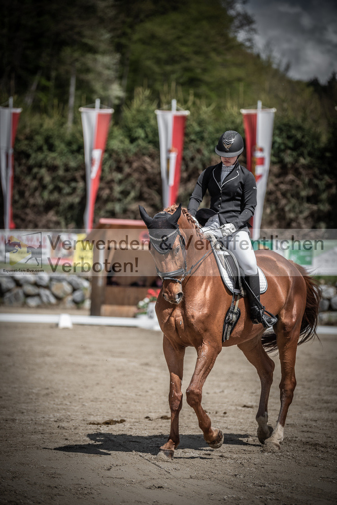 DSC_0795 | equestrian-live-com