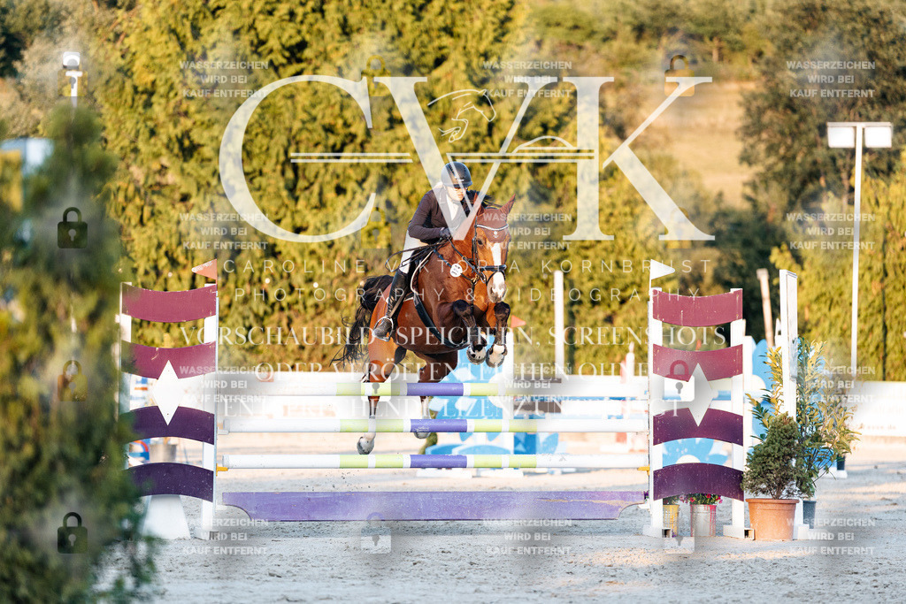 CK901204 | Turnierfotografie Pferdefotografie Trier Rheinland-Pfalz Pferdesport Reitsport Tierfotografie Sportfotografie Pferdevideo Pferdevideografie Equestrianvideography equestrianphotography  - Realisiert mit Pictrs.com