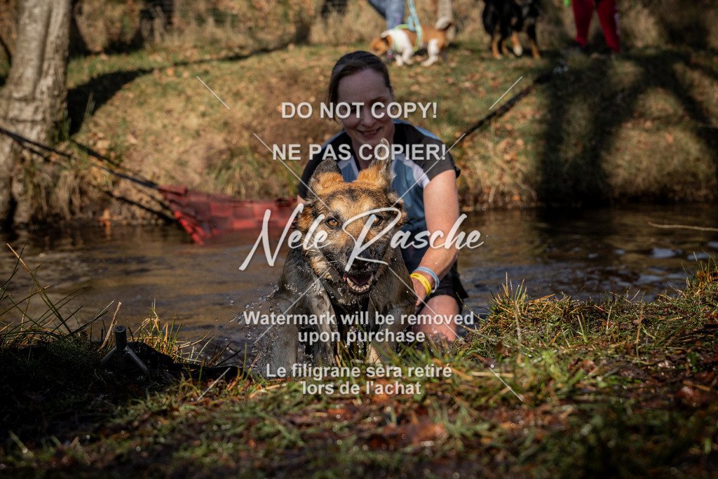 nelerasche_FS1100-1145_252 | nelerasche