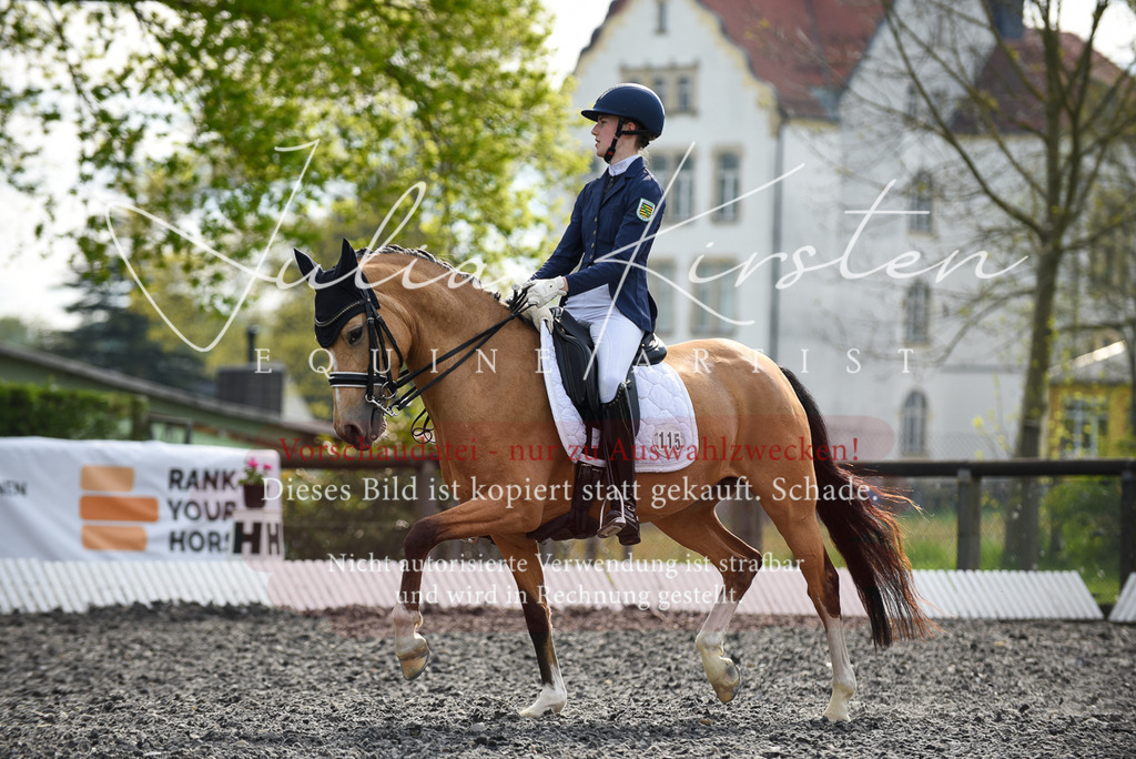 20230513_JK-Röhrsdorf-17-157 | Pferde- und Turnierfotografie in Westsachsen. Pferdeportraits, Auftragszeichnungen und intuitive Kunst.