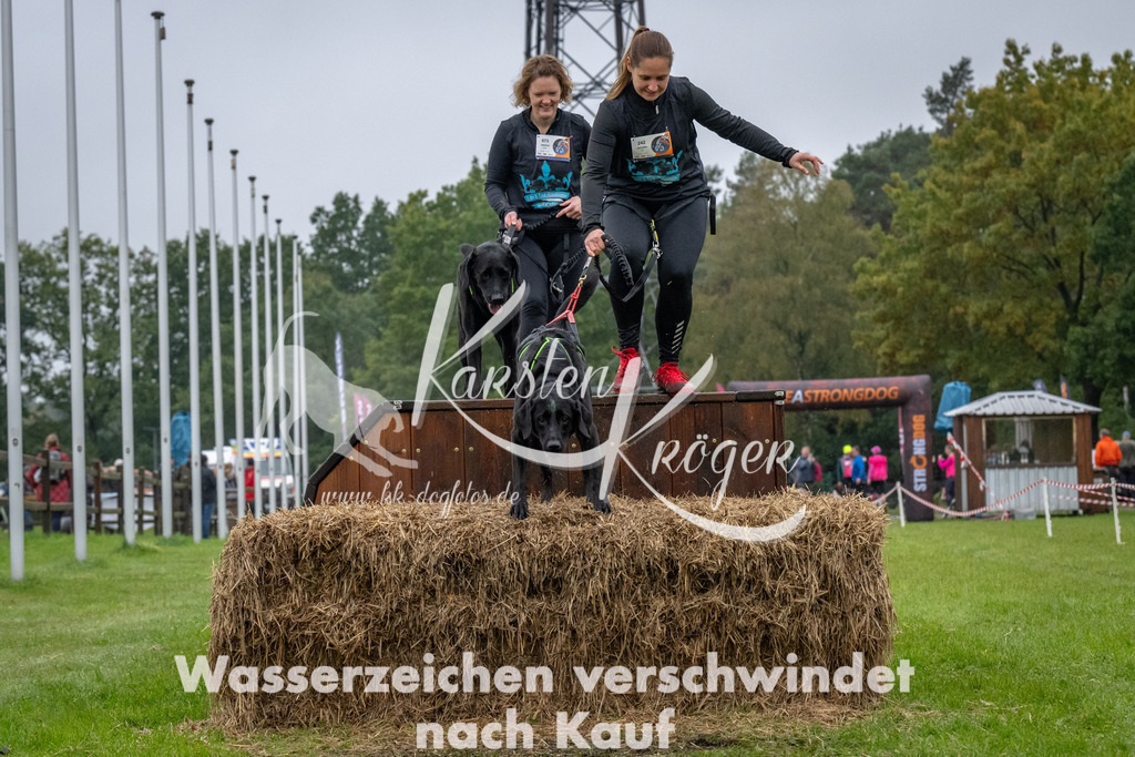 1109-93718 | kk-dogfotos