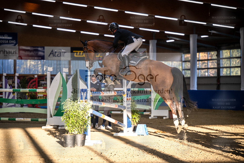 DOS_3595 | Entdecke hochwertige Reitturnierfotos von Foto Oger. Professionell, emotional und authentisch – jetzt Lieblingsmomente im Shop bestellen. - Realisiert mit Pictrs.com