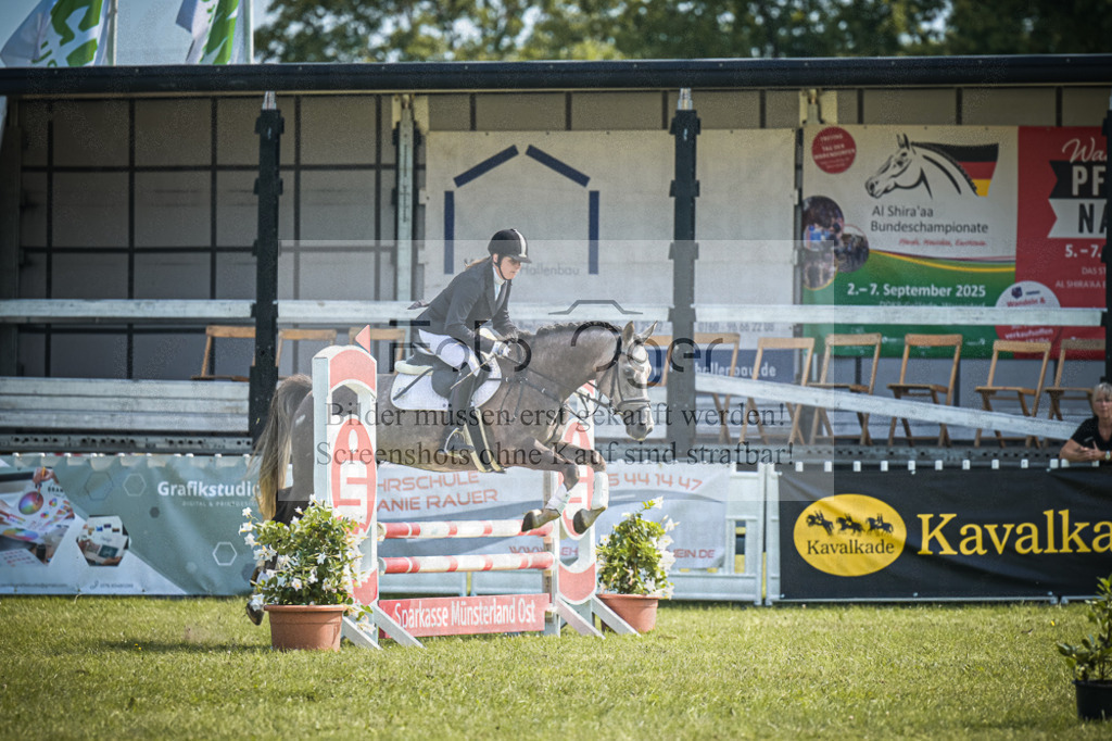 DOS_3340 | Entdecke hochwertige Reitturnierfotos von Foto Oger. Professionell, emotional und authentisch – jetzt Lieblingsmomente im Shop bestellen.Deutschlandweite Turnierfotografie. - Realisiert mit Pictrs.com
