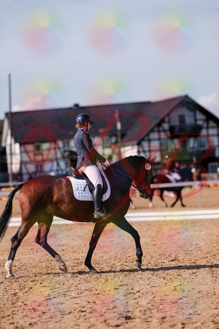 2026_10_03_Siefer-Hof_125507_Z81_43816522 | Professionelle Reitsport-, Turnier- und Eventfotografie von Robert Broda. Galerien mit ausgewählten und bearbeiteten Bildern direkt online ansehen und bestellen.