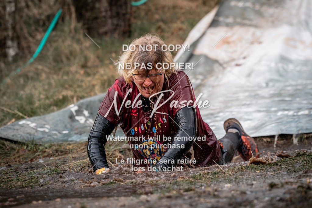 nelerasche_1330-1400_234 | nelerasche