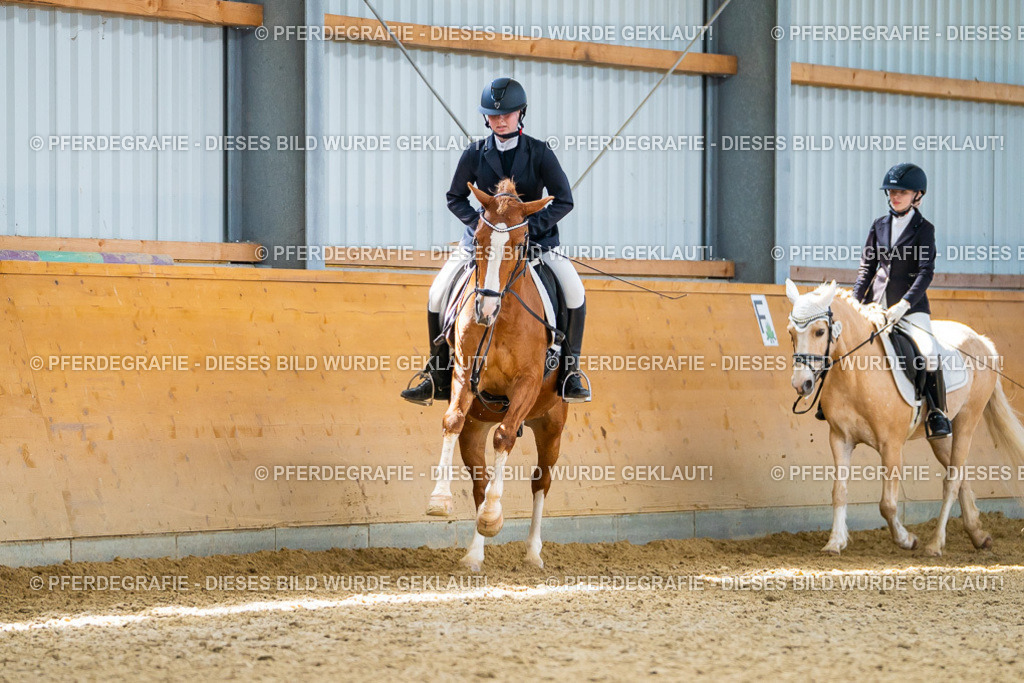 DSC09651 | Pferdegrafie