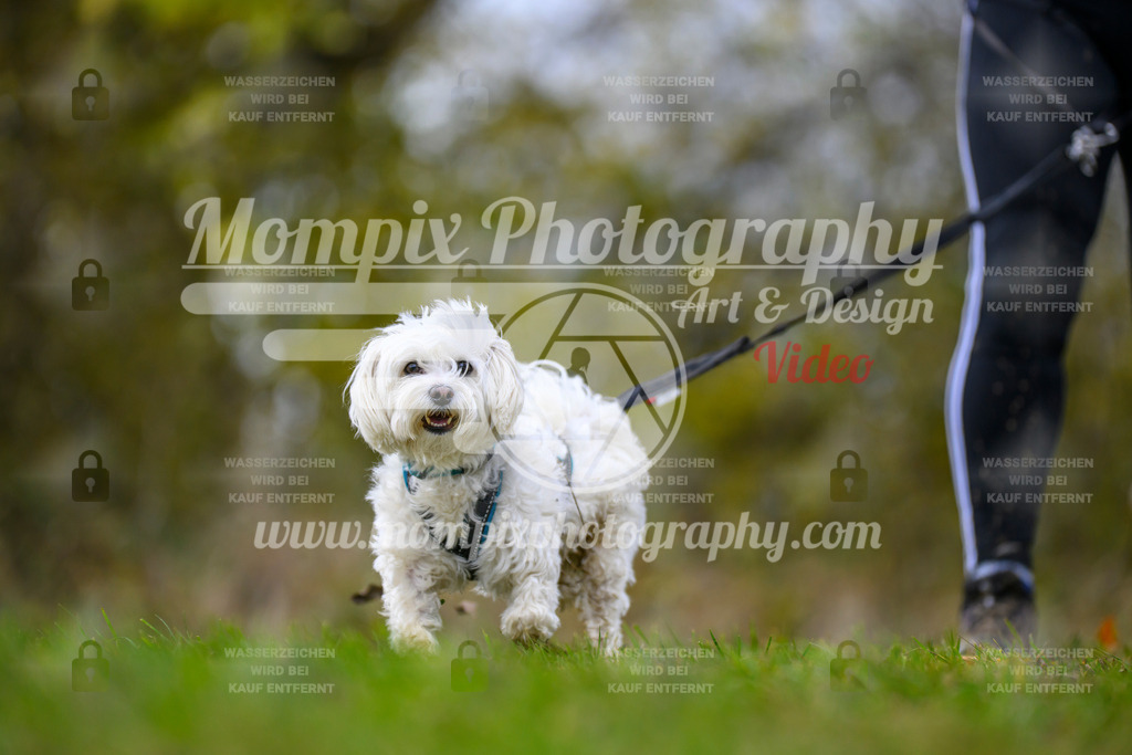 MompixPhotography_2OATB_SO_Run-80 | PayLife