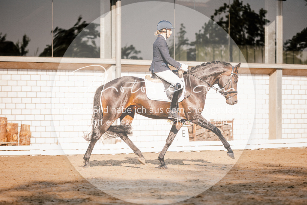 3I6A8540 | Stimmungsvolle Portraits und Reitsportfotografie im Ruhrgebiet und im Münsterland.

Pferdefotografie, Hundefotografie, Tierfotografie, Reportagen, Portraits von Tier und Mensch, Turnierfotografie in Bochum, Recklinghausen, Marl, Haltern am See, Dülmen.. - Realisiert mit Pictrs.com