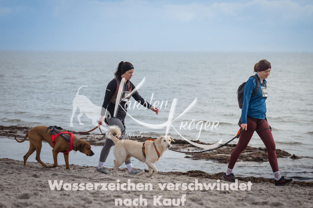 1210_ZZ94531 | kk-dogfotos