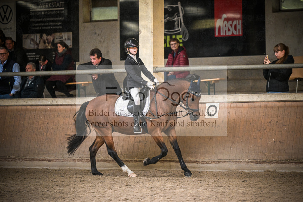 DOS_0169 | Entdecke hochwertige Reitturnierfotos von Foto Oger. Professionell, emotional und authentisch – jetzt Lieblingsmomente im Shop bestellen.Deutschlandweite Turnierfotografie. - Realisiert mit Pictrs.com
