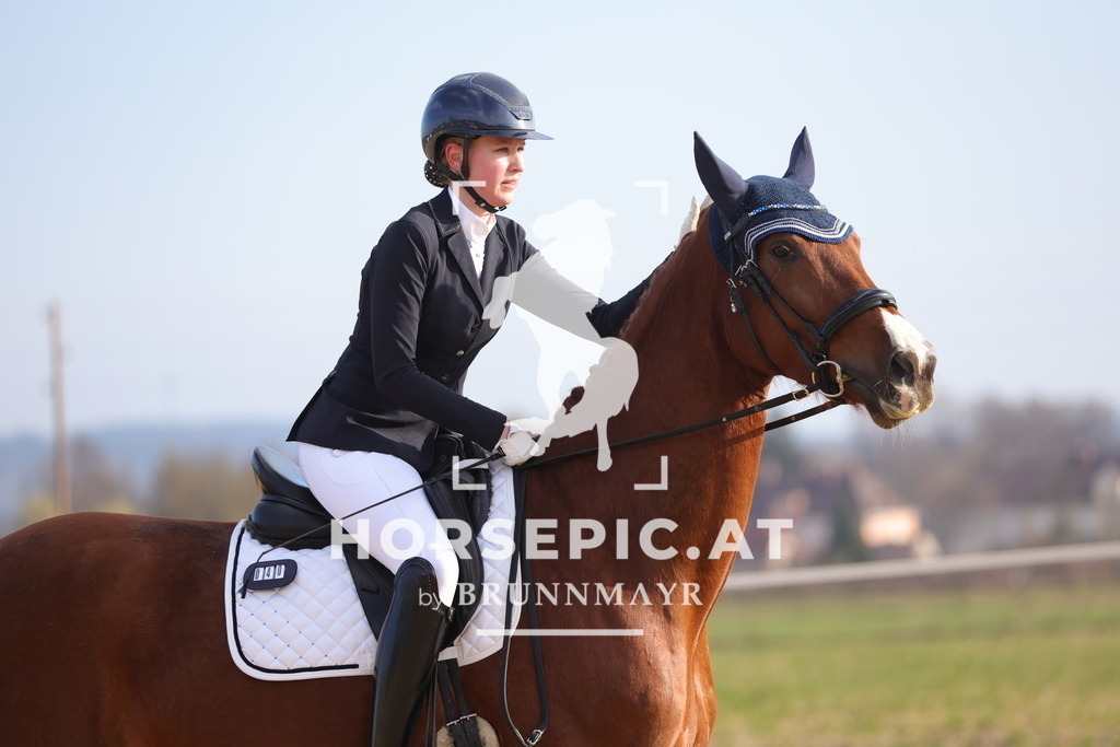 0P6A5960 | Willkommen bei Brunnmayr - Design & Fotografie – Ihrem Spezialisten für Reitturniere und Pferdeveranstaltungen in Oberösterreich, Salzburg und Bayern! Seit über 17 Jahren sind wir leidenschaftlich dabei.