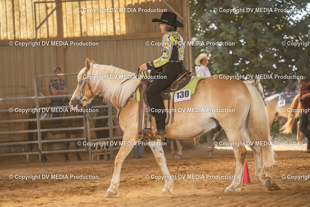 NID03027 | dv-media-shop - Realisiert mit Pictrs.com