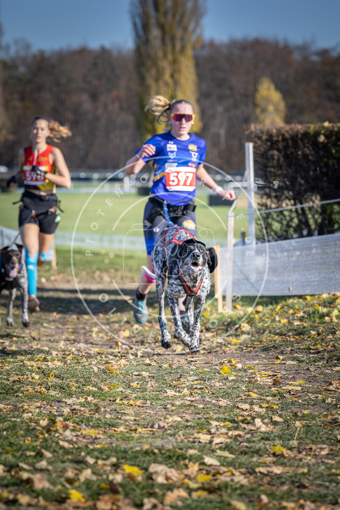 CaniXpix_DV3A9409 | Hundefotografie, Tierfotograf, Pfotenfotografie, Fotoshooting Hund, Hunde Portrait, Hundesport, Hundeportraits, Heideshooting, Hunde, Sportfotograf, Hundefotograf, Turnierhundsport, THS,  - Realisiert mit Pictrs.com