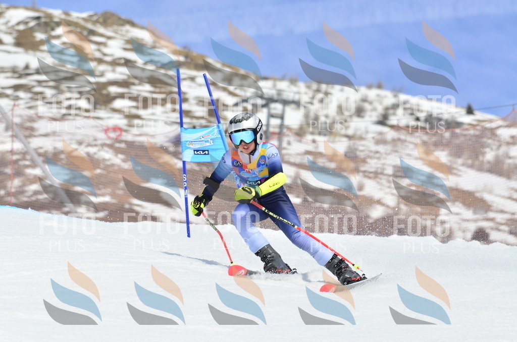 _ELE2037 | holidayphoto