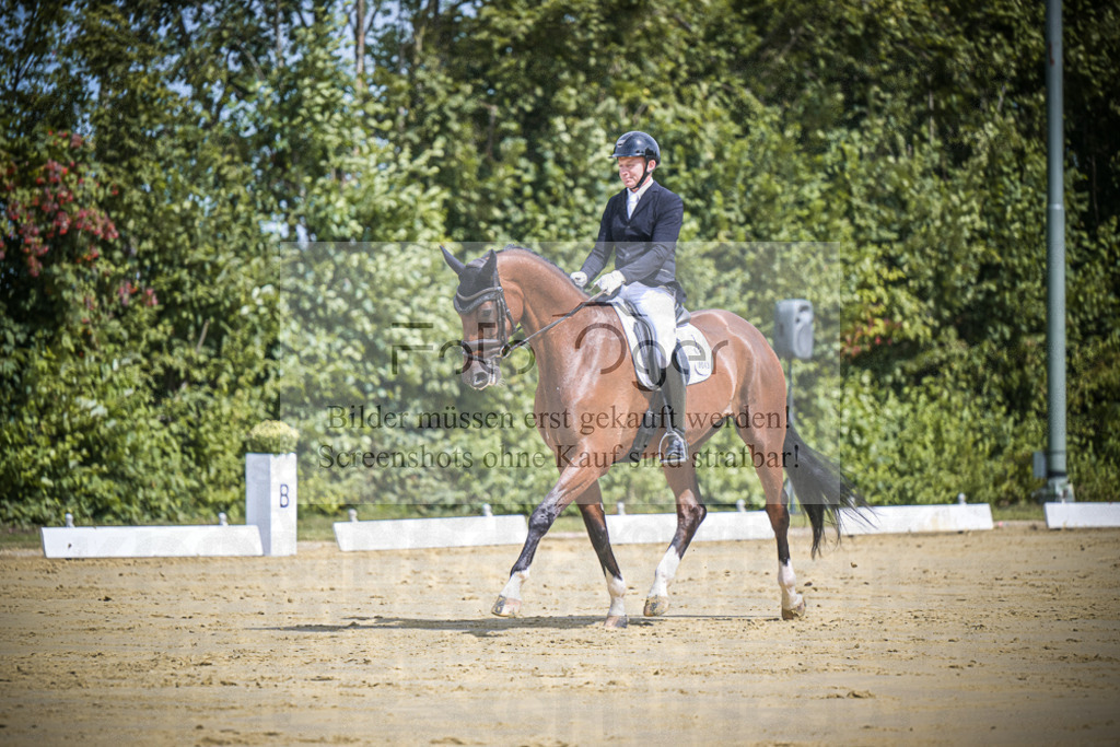 DOS_0490 | Entdecke hochwertige Reitturnierfotos von Foto Oger. Professionell, emotional und authentisch – jetzt Lieblingsmomente im Shop bestellen.Deutschlandweite Turnierfotografie. - Realisiert mit Pictrs.com