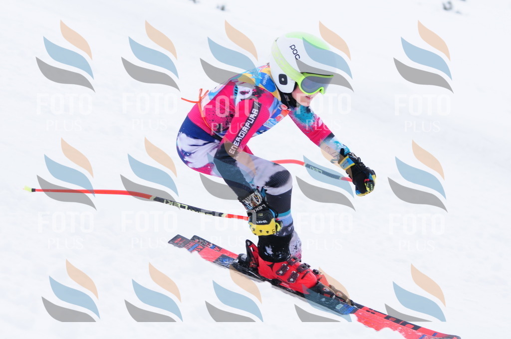 C2658 | holidayphoto