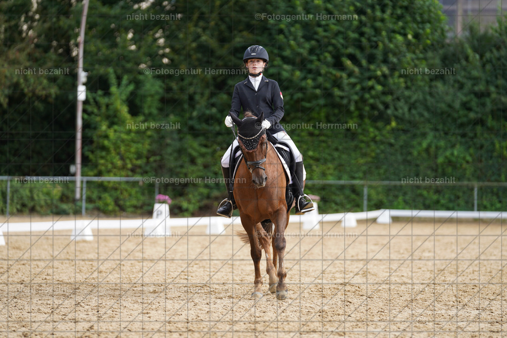 20240825-FAH00280 | Turnierbilder, Reitsportfotos, LAPO, Landesponyturnier, Turnierfotografen Bayern