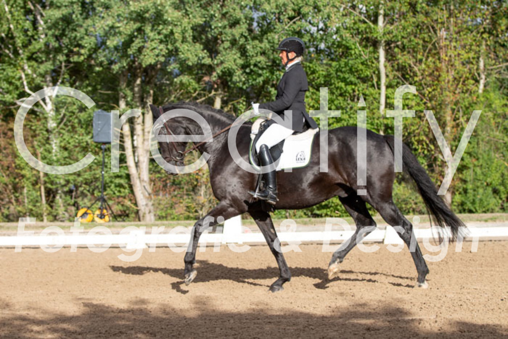 IMG_4852 | Creatify Fotografie