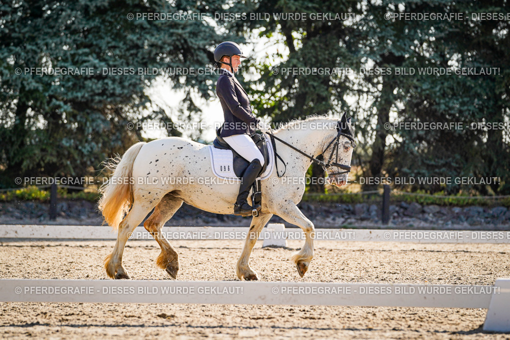 DSC09446 | Pferdegrafie