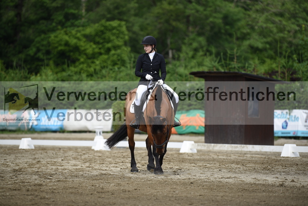 DSC_8333 | equestrian-live-com