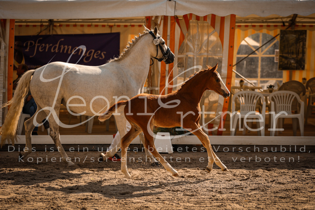 10.DoRP00222 | Leoni Ertmer Photography - Realisiert mit Pictrs.com