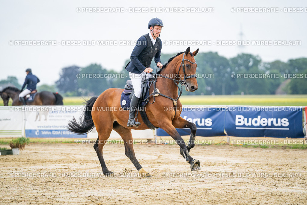 DSC02312 | Pferdegrafie