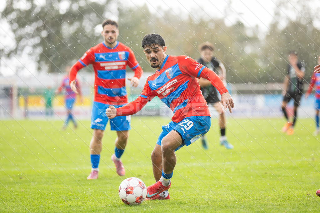 20251005_Picselweb-Fotografie_1R3_1124 | Dein Fotograf aus dem Landkreis Stade für Sport und Events - Realisiert mit Pictrs.com