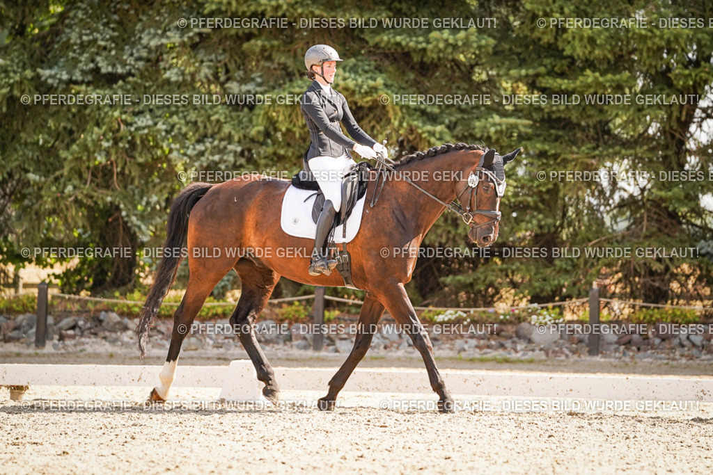 DSC00915 | Pferdegrafie