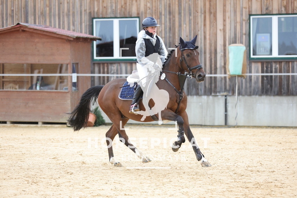 0P6A0412 | Willkommen bei Brunnmayr - Design & Fotografie – Ihrem Spezialisten für Reitturniere und Pferdeveranstaltungen in Oberösterreich, Salzburg und Bayern! Seit über 17 Jahren sind wir leidenschaftlich dabei.