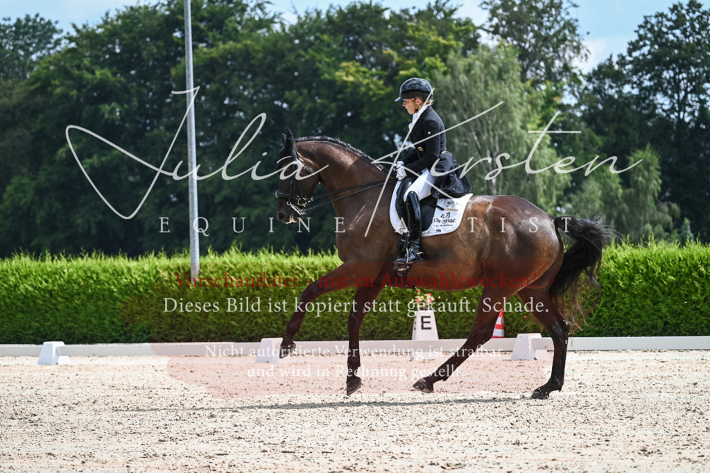 DSC_2479 | Pferde- und Turnierfotografie in Westsachsen. Pferdeportraits, Auftragszeichnungen und intuitive Kunst.