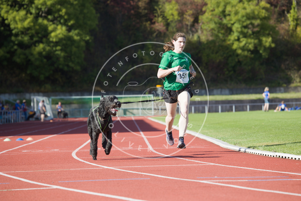 0L8A9625 | Hundefotografie, Tierfotograf, Pfotenfotografie, Fotoshooting Hund, Hunde Portrait, Hundesport, Hundeportraits, Heideshooting, Hunde, Sportfotograf, Hundefotograf, Turnierhundsport, THS,  - Realisiert mit Pictrs.com