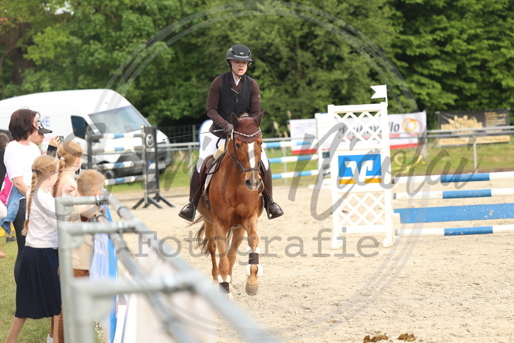 994A7928 | sabrinanicolaifotografie - Realisiert mit Pictrs.com