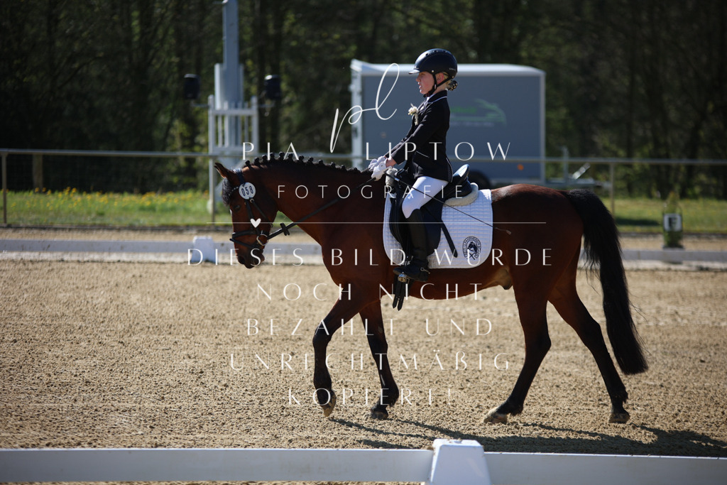 IMGT9463 | pl-fotografie