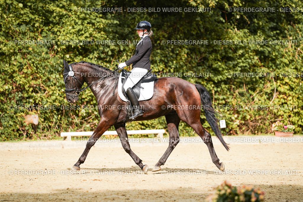 DSC03122 | Pferdegrafie