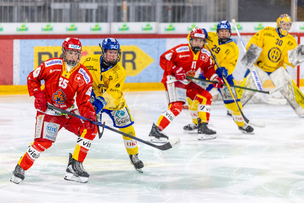 EHCB vs HCD 20262703-430469120 | Sportbilder, Sportfotograf, Hochzeits- und Eventfotografin, Flugshows, Portraits und Tiershooting, Aviation, Downhill, Nationalleague, Swissleague, International