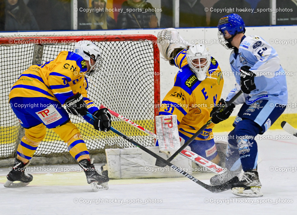 EHC Althofen vs. ESC Steindorf 27.2.2023 | #10 Zeloth Florian, #31 Horn Fabian, #69 Kreuzer Philipp