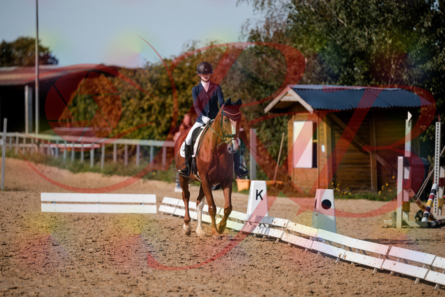 2026_10_03_Siefer-Hof_123649_Z63_54407640 | Professionelle Reitsport-, Turnier- und Eventfotografie von Robert Broda. Galerien mit ausgewählten und bearbeiteten Bildern direkt online ansehen und bestellen.