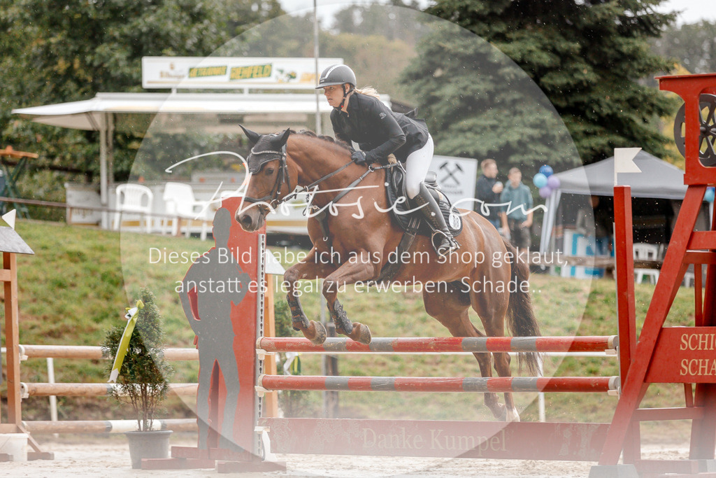 3I6A5732 | Stimmungsvolle Portraits und Reitsportfotografie im Ruhrgebiet und im Münsterland.

Pferdefotografie, Hundefotografie, Tierfotografie, Reportagen, Portraits von Tier und Mensch, Turnierfotografie in Bochum, Recklinghausen, Marl, Haltern am See, Dülmen.. - Realisiert mit Pictrs.com