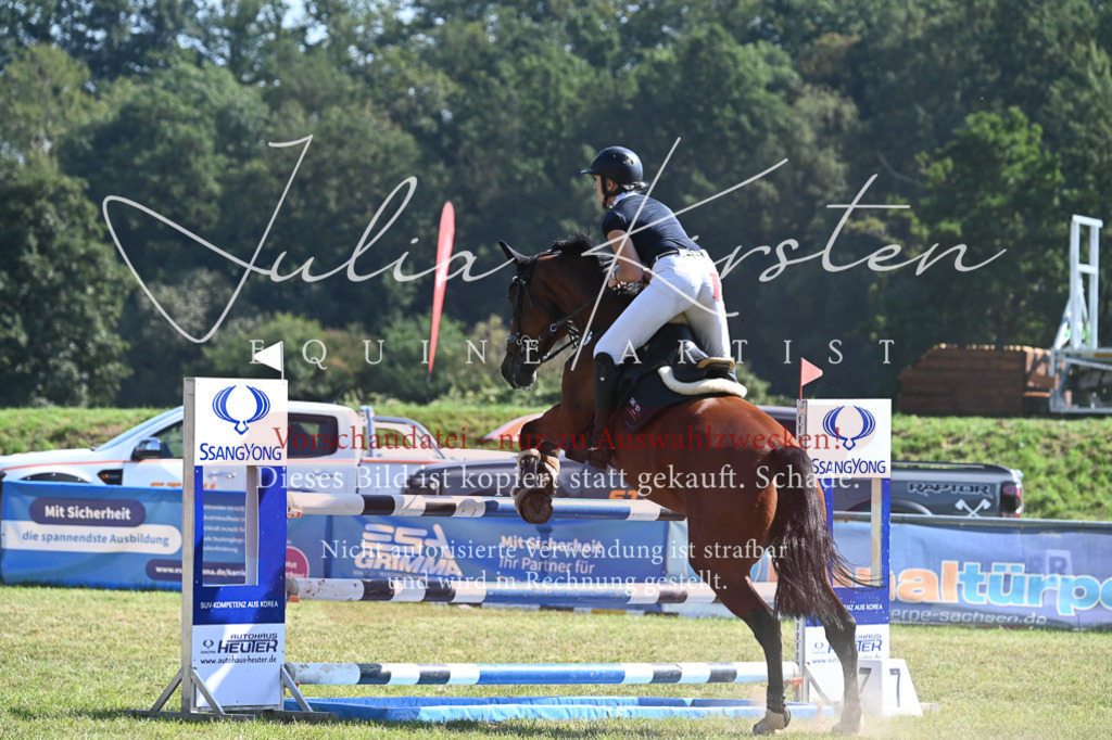 DSC_6438 | Pferde- und Turnierfotografie in Westsachsen. Pferdeportraits, Auftragszeichnungen und intuitive Kunst.