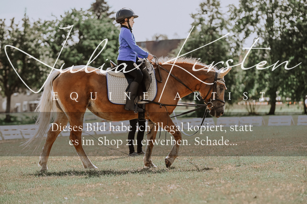 DSC_7531 | Pferde- und Turnierfotografie in Westsachsen. Pferdeportraits, Auftragszeichnungen und intuitive Kunst.