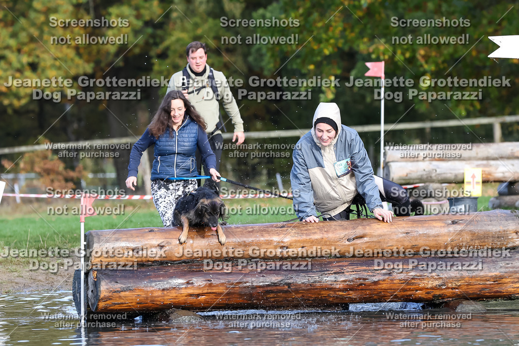 Dog Paparazzi - Strongdog 10-25-8314 | Dog Paparazzi Jeanette Grottendiek Fotografie & Videografie - Realisiert mit Pictrs.com