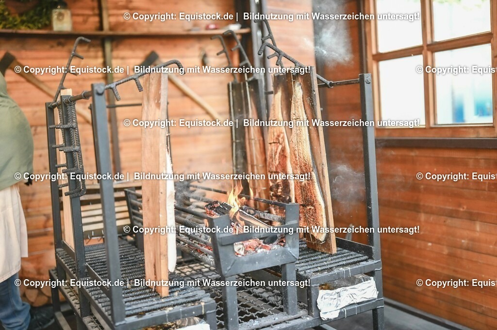 D78_3795 | equistock