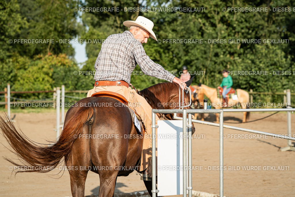 DSC05759 | Pferdegrafie