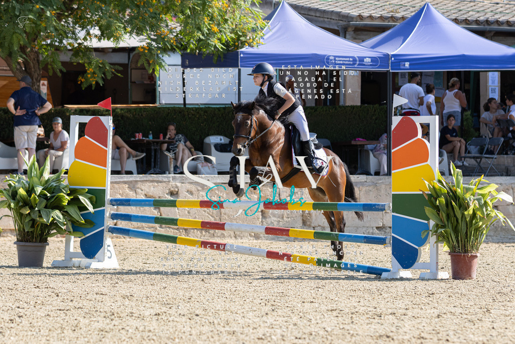 IMG_4946 | s-jay-photography - Realisiert mit Pictrs.com