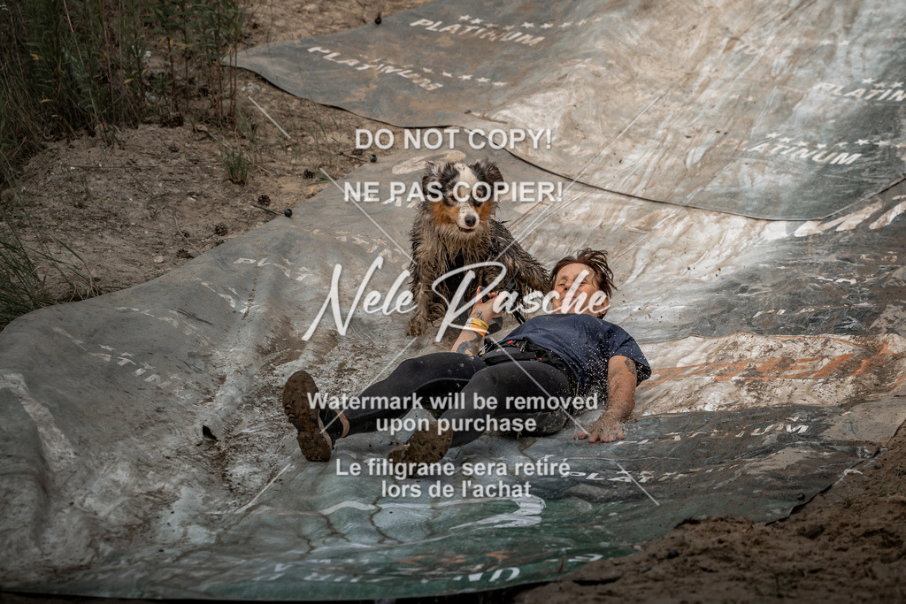 nelerasche_sa1500-1530_179 | nelerasche