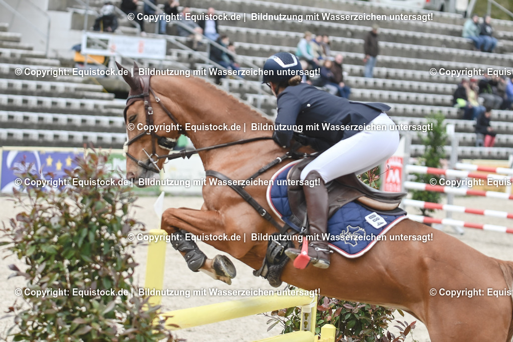 20230514_CCI4_Springen_0051 | equistock