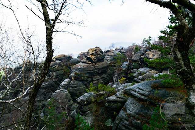_DSC6108 | Shop für Prints Landschaftsfotografie Sächsische Schweiz Naturfotografie in Thüringen Fotos vom Findlingspark Nochten Kloster Sankt Marienstern Bilder Festung Königstein PanoramaRhododendronpark Kromlau FotogalerSchleswig-Holstein Küstenlandschaften