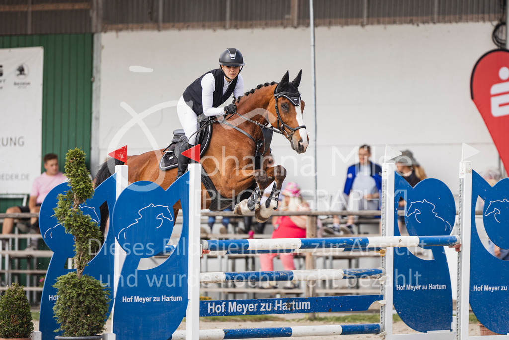 250629_PfSpTa_Stil-L2-326 | Deine schönsten Turniermomente als professionelle Fotos! Entdecke hochwertige Pferdesport-Fotografie im Online-Shop. Jetzt Fotos finden & bestellen!